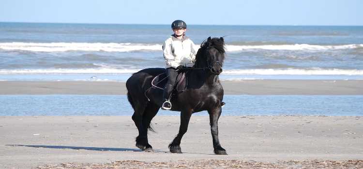 ein Reiter auf einem Perd galoppiert am Sandstrand