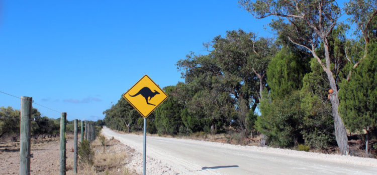 Das sollten Sie wissen, bevor Sie nach Australien reisen