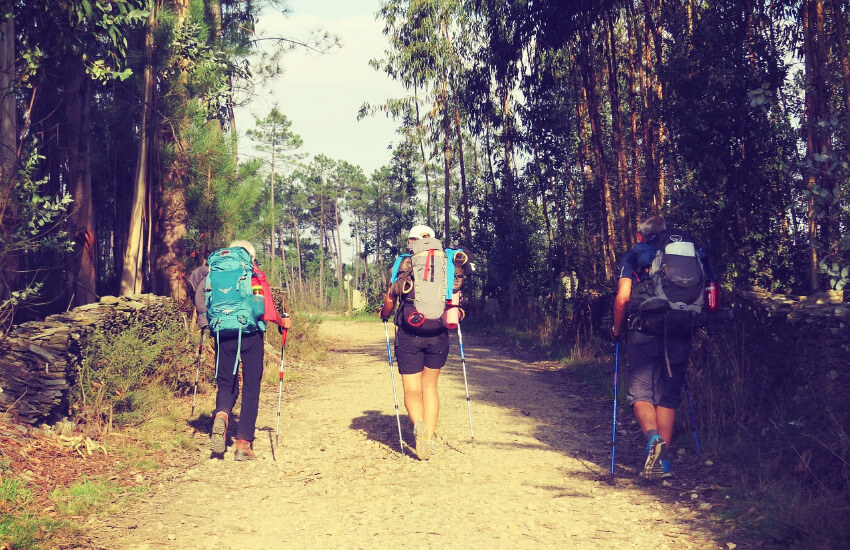 Drei Wanderer mit großem Rucksack unterwegs auf dem Jakobsweg.