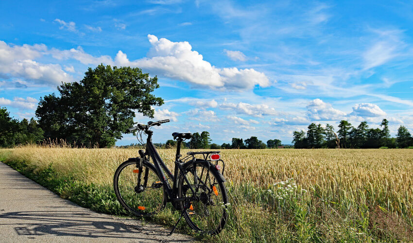 Ein Fahrrad parkt an der Seite eines Weges neben einem Feld um eine Pause zu machen.