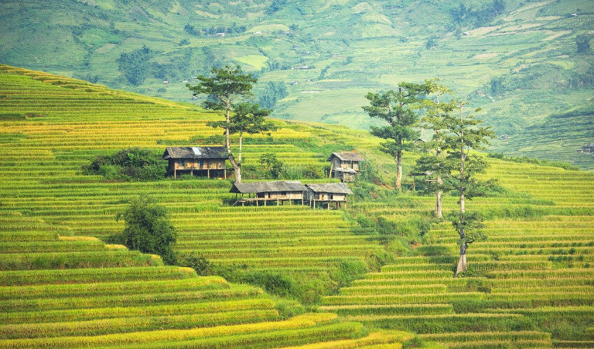 Ein vietnamesisches Landschaftsbild