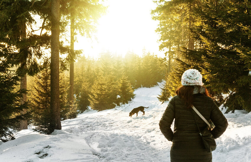 Eine Frau mach einen Spaziergang mit ihrem Hund im schneebedeckten Wald.