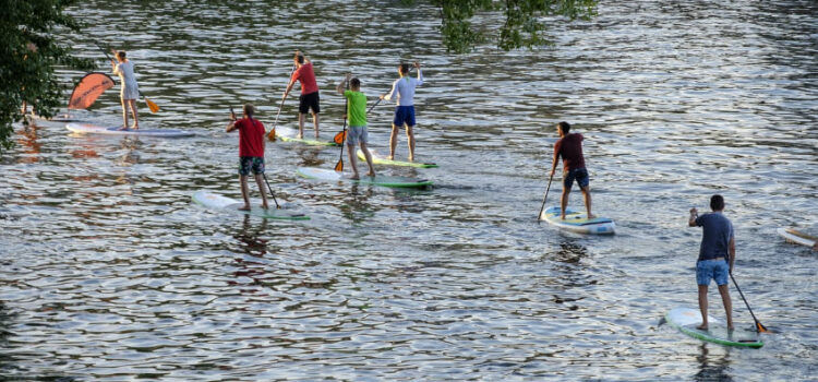 Fleesensee – ein See mit warmen Wasser perfekt für Familien