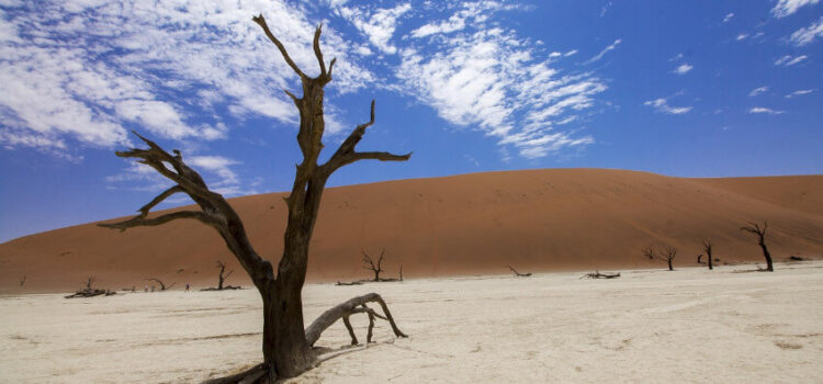 Gigantische Sandwelten: So lassen sich die eindrucksvollsten Wüsten stilvoll bereisen Gigantische Sandwelten: So lassen sich die eindrucksvollsten Wüsten stilvoll bereisen